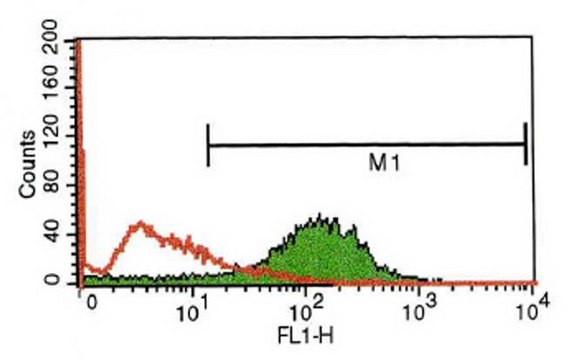 Anti-Endothelial Cell Protein C Receptor antibody, Rat monoclonal clone RCR-379, purified from hybridoma cell culture