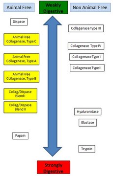 Animal Free Collagenase, Type C Animal Free Collagenase, Type C, is designed to have collagenase and secondary proteases similar to Types III and IV collagenase.