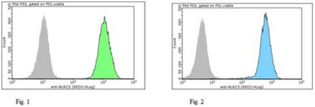 抗-NLRC5抗体（克隆 3H8） clone 3H8, from rat, purified by using protein G