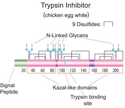 胰蛋白酶抑制剂 来源于鸡蛋白 Type III-O (free of ovoinhibitor)