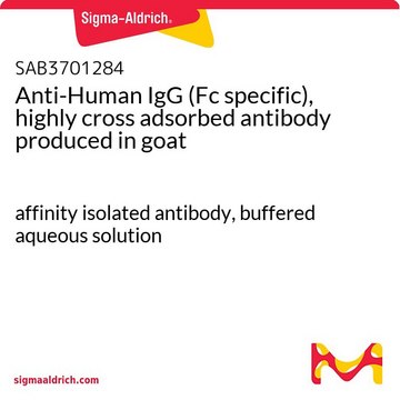 Anti-Human IgG (Fc specific), highly cross adsorbed antibody produced in goat affinity isolated antibody, buffered aqueous solution