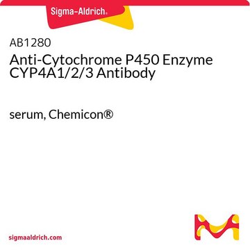 Anti-Cytochrome P450 Enzyme CYP4A1/2/3 Antibody serum, Chemicon&#174;