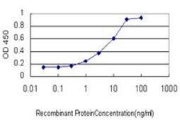 Monoclonal Anti-ETV1 antibody produced in mouse clone 2A8, purified immunoglobulin, buffered aqueous solution
