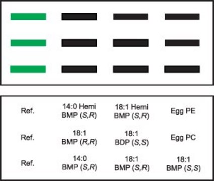 BMP Snoopers&#174; Avanti Polar Lipids