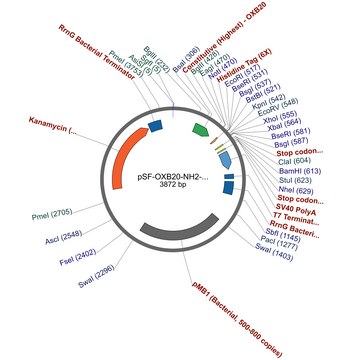 PSF-OXB20-NH2-HIS6 - N-TERMINAL 6 HIS TAG MAMMALIAN PLASMID plasmid vector for molecular cloning