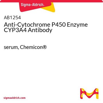 抗细胞色素P450酶CYP3A4抗体 serum, Chemicon&#174;