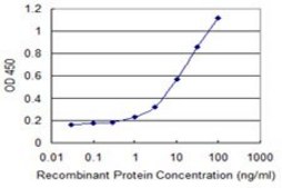Monoclonal Anti-B3GNT3 antibody produced in mouse clone 1A2, purified immunoglobulin, buffered aqueous solution