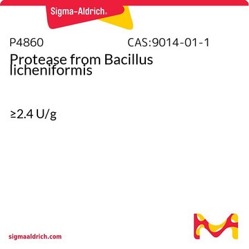 Protease from Bacillus licheniformis &#8805;2.4&#160;U/g