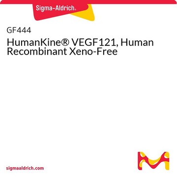 HumanKine® VEGF121, Human Recombinant Xeno-Free