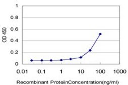 Monoclonal Anti-GLP2R antibody produced in mouse clone 1F2, purified immunoglobulin, buffered aqueous solution