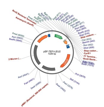 PSF-TEFI-LEU2 - LEUCINE YEAST SELECTION PLASMID plasmid vector for molecular cloning