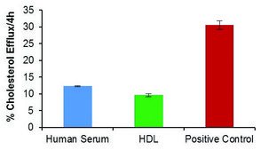 Cholesterol Efflux Assay Kit Sufficient for 100 Fluorometric tests