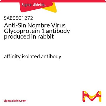 Anti-Sin Nombre Virus Glycoprotein 1 antibody produced in rabbit affinity isolated antibody