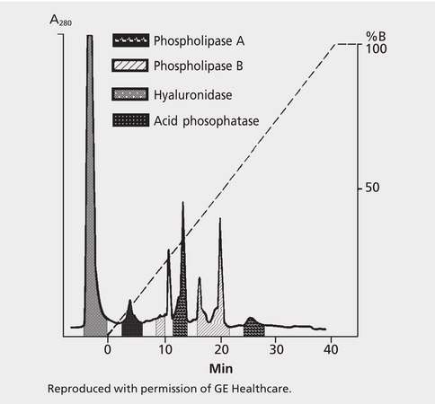 HPLC Analysis of White-Faced Hornet Venom on Mono S&#174; HR5/5 application for HPLC