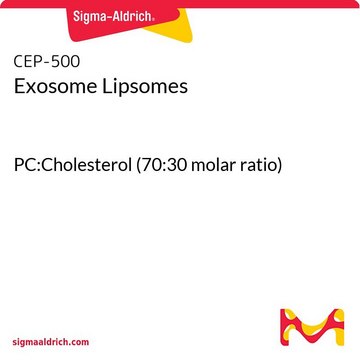 Exosome Lipsomes PC:Cholesterol (70:30 molar ratio)