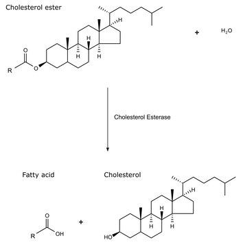 Cholesterol Esterase from Pseudomonas fluorescens lyophilized powder, &#8805;10,000&#160;units/g protein