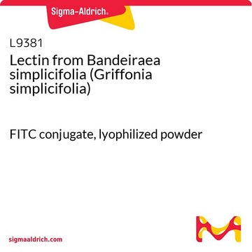 来自西非单叶豆（加纳籽）的凝集素 FITC conjugate, lyophilized powder