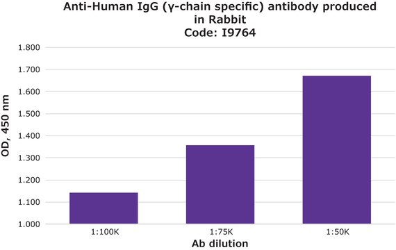 Anti-Human IgG (&#947;-chain specific) antibody produced in rabbit IgG fraction of antiserum, buffered aqueous solution