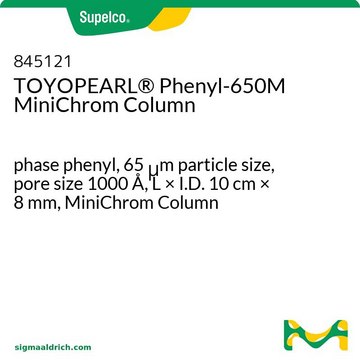 TOYOPEARL&#174; Phenyl-650M MiniChrom Column phase phenyl, 65&#160;&#956;m particle size, pore size 1000&#160;Å, L × I.D. 10&#160;cm × 8&#160;mm, MiniChrom Column