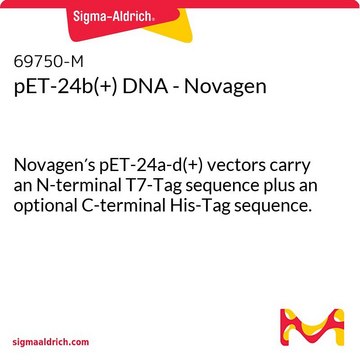 pET-24b(+) DNA - Novagen Novagen&#8242;s pET-24a-d(+) vectors carry an N-terminal T7-Tag sequence plus an optional C-terminal His-Tag sequence.