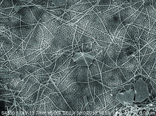 Gold nanowires diam. × L 30 nm × 6,000 nm, dispersion (H2O), contains CTAB as stabilizer
