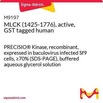 MLCK (1425-1776)，活性，GST 标记 人 PRECISIO&#174; Kinase, recombinant, expressed in baculovirus infected Sf9 cells, &#8805;70% (SDS-PAGE), buffered aqueous glycerol solution