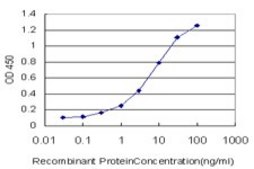 Monoclonal Anti-ERMAP antibody produced in mouse clone 6F8, purified immunoglobulin, buffered aqueous solution