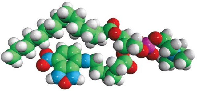 Acyl 06:0 NBD PC Avanti Research&#8482; - A Croda Brand 810121C