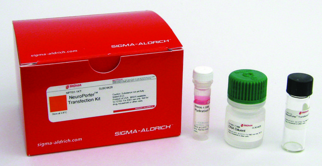 NeuroPorter&#8482; Transfection Kit Lipid formulation for nucleic acid transfections in neuronal and glial cells