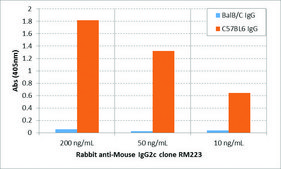 Anti-Mouse IgG2c antibody, Rabbit monoclonal recombinant, expressed in HEK 293 cells, clone RM223, purified immunoglobulin