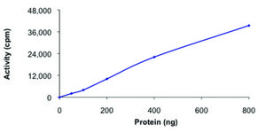 GRK7, active, GST tagged human PRECISIO® Kinase, recombinant, expressed in baculovirus infected Sf9 cells, ≥70% (SDS-PAGE), buffered aqueous glycerol solution