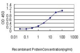 Monoclonal Anti-CALM2 antibody produced in mouse clone 3F4-G5, purified immunoglobulin, buffered aqueous solution