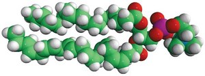 18:0-22:6 PC 1-stearoyl-2-docosahexaenoyl-sn-glycero-3-phosphocholine, chloroform