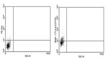 Anti-CTLA4 (CD152) Antibody, clone 9H10 clone 9H10, from hamster