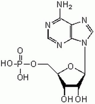 Adenosine 5&#8242;-Monophosphate, Disodium Salt