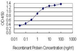 Monoclonal Anti-ASH1L antibody produced in mouse clone 4G12, purified immunoglobulin