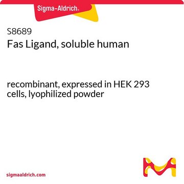 Fas Ligand, soluble human recombinant, expressed in HEK 293 cells, lyophilized powder