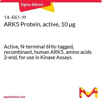 ARK5 Protein, active, 10 &#181;g Active, N-terminal 6His-tagged, recombinant, human ARK5, amino acids 2-end, for use in Kinase Assays.