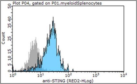 Anti- STING, clone 41 Antibody clone 41, 0.5&#160;mg/mL, from rat