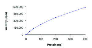 ULK2 (1-631), active, GST tagged human PRECISIO® Kinase, recombinant, expressed in baculovirus infected Sf9 cells, ≥70% (SDS-PAGE), buffered aqueous glycerol solution