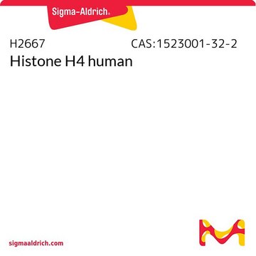 Histone H4 human