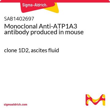 Monoclonal Anti-ATP1A3 antibody produced in mouse clone 1D2, ascites fluid