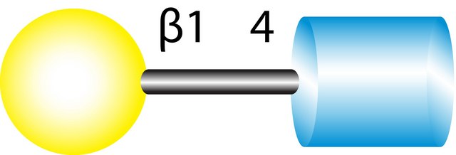 N-Acetyl-D-lactosamine &#8805;98% (TLC)