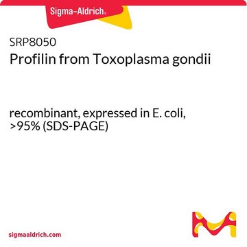 Profilin from Toxoplasma gondii recombinant, expressed in E. coli, &gt;95% (SDS-PAGE)