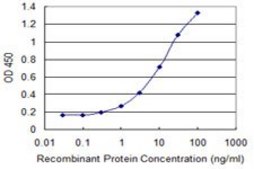 Monoclonal Anti-RNF13 antibody produced in mouse clone 3E4, purified immunoglobulin, buffered aqueous solution