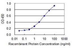Monoclonal Anti-U2AF1 antibody produced in mouse clone 1C8, purified immunoglobulin, buffered aqueous solution