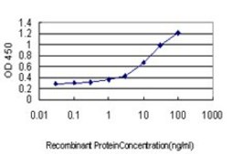 Monoclonal Anti-GADD45G antibody produced in mouse clone 1D3, purified immunoglobulin, buffered aqueous solution