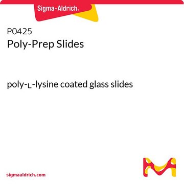 Poly-Prep Slides poly-L-lysine coated glass slides