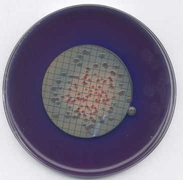 M FC agar GranuCult&#174; plus, suitable for microbiology, for coliforms