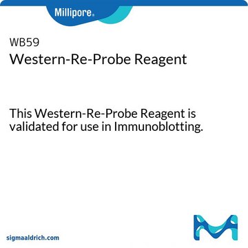 Western-Re-Probe Reagent This Western-Re-Probe Reagent is validated for use in Immunoblotting.